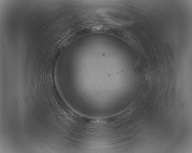 X0000053000754200507221247