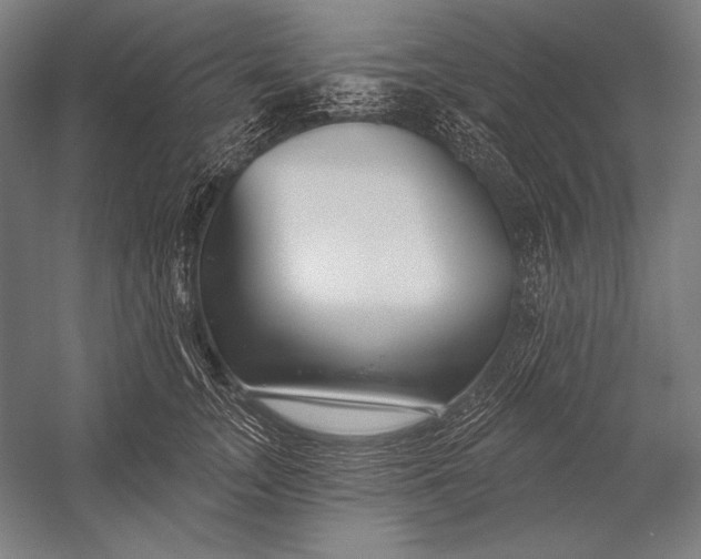 X0000053000755200507221247