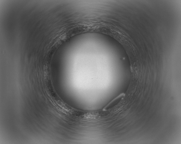 X0000053000756200507221247