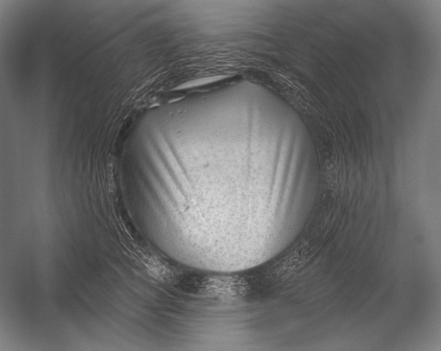 X0000053000757200507221247