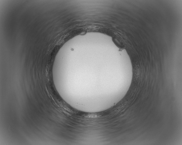 X0000053000759200507221247