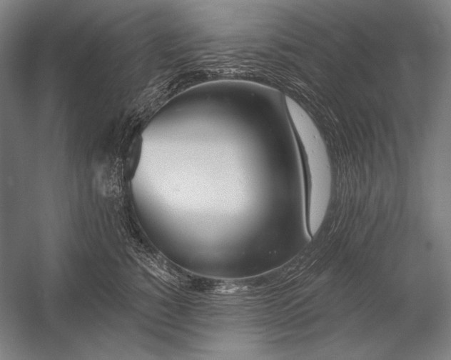 X0000053000760200507221247