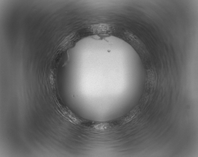 X0000053000761200507221247