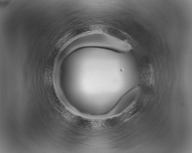 X0000053000762200507221247