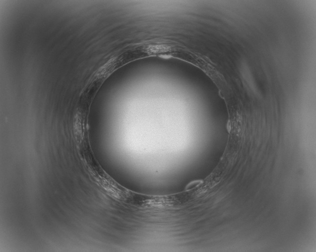 X0000053000763200507221247