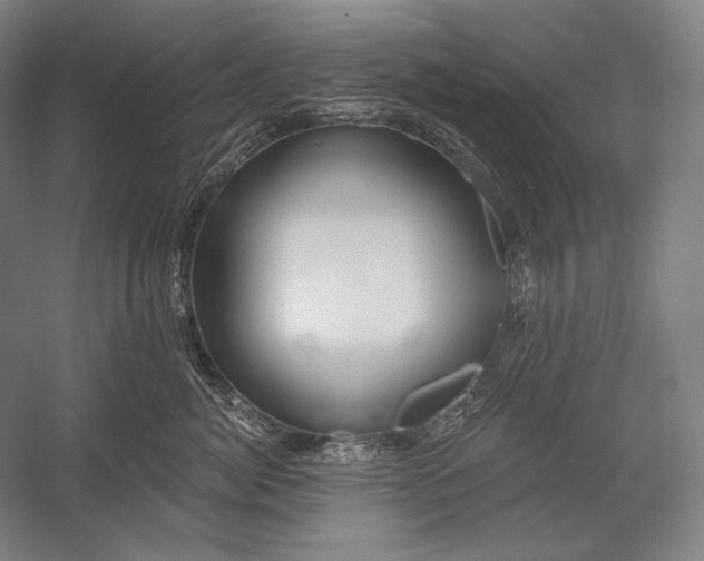 X0000053000764200507221247