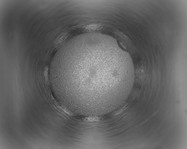 X0000053000765200507221247