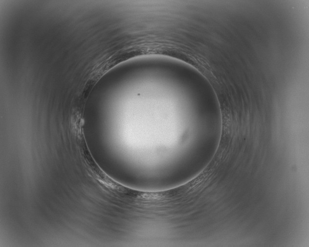 X0000053000766200507221247