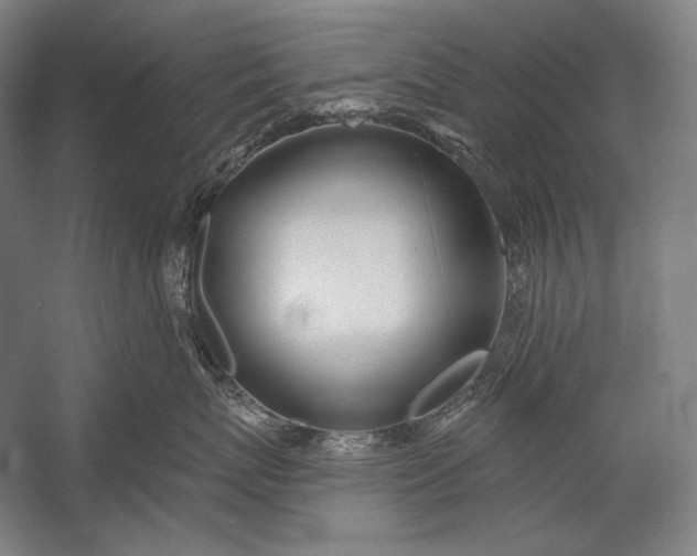 X0000053000767200507221247