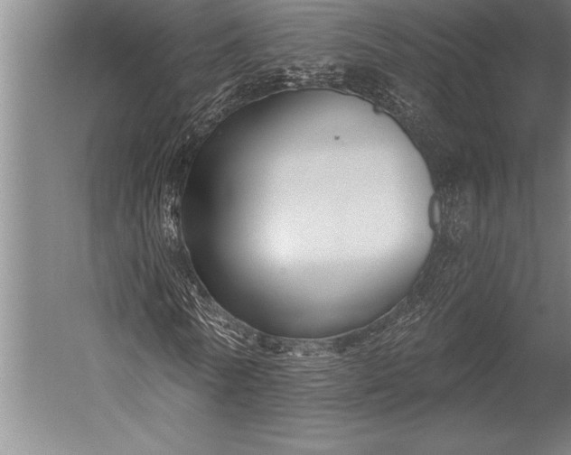 X0000053000770200507221246