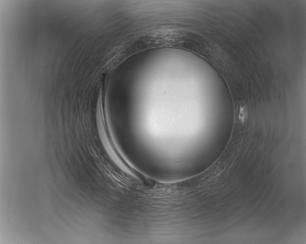 X0000053000771200507221246