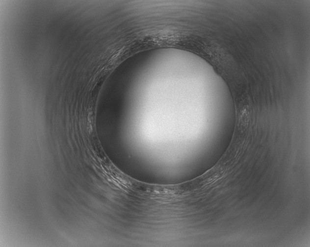 X0000053000772200507221246