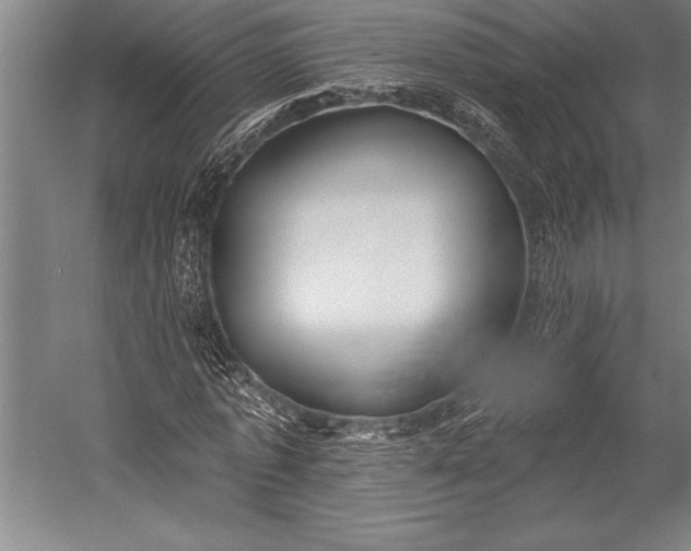 X0000053000773200507221246