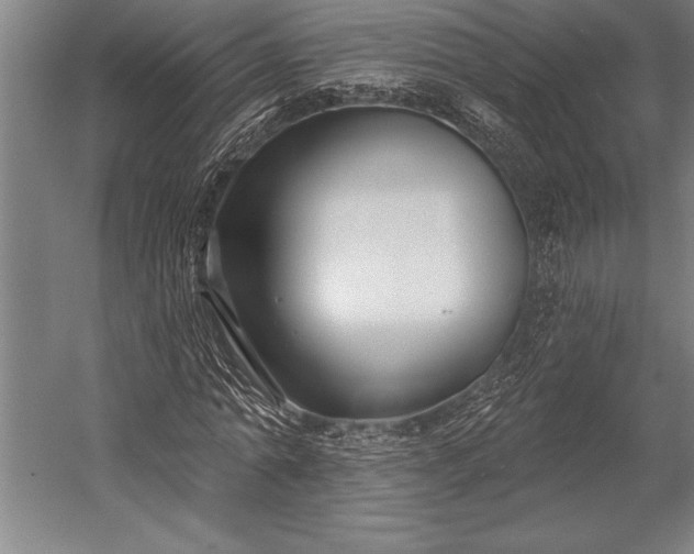 X0000053000774200507221246