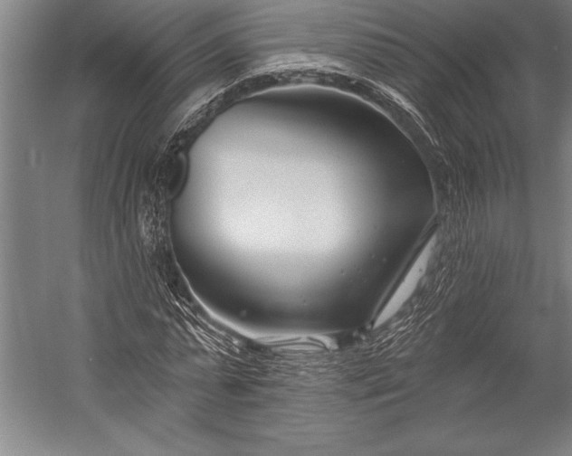 X0000053000775200507221246