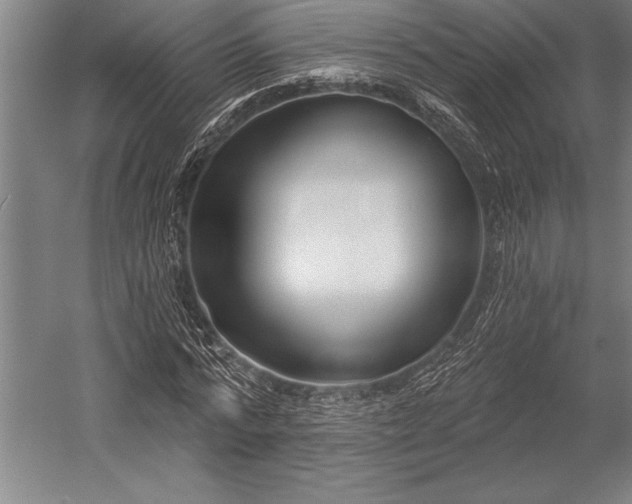 X0000053000776200507221246