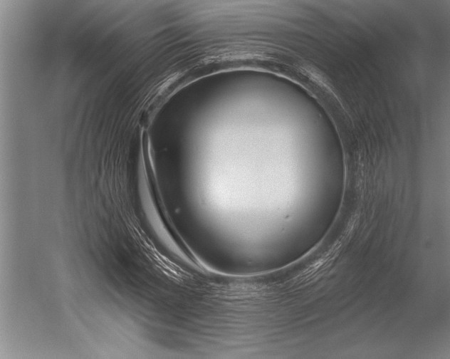 X0000053000777200507221246