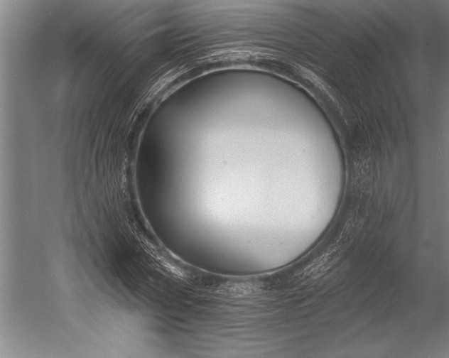 X0000053000778200507221246