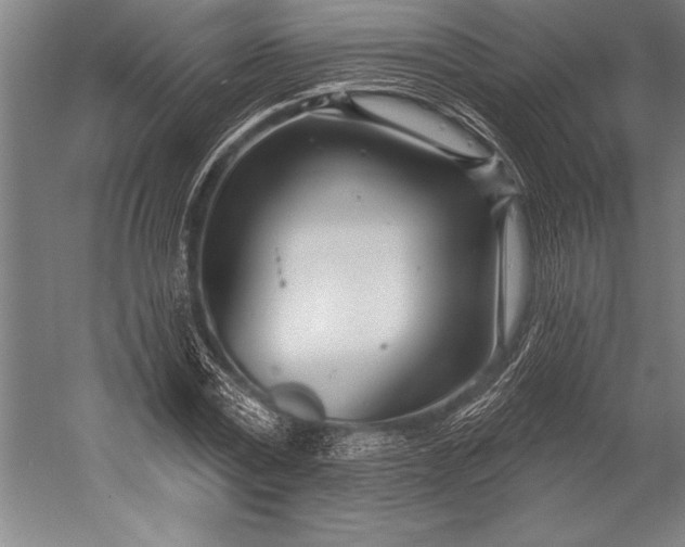 X0000053000779200507221246