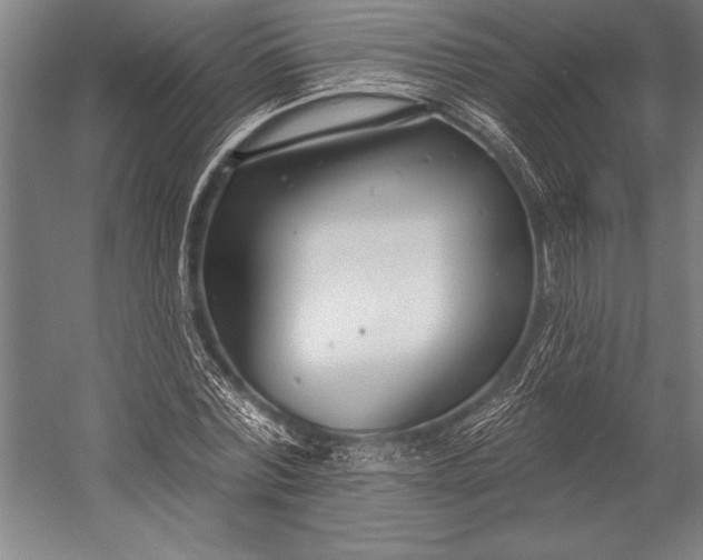 X0000053000780200507221246