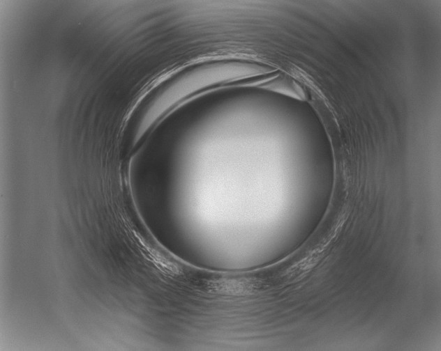 X0000053000781200507221246