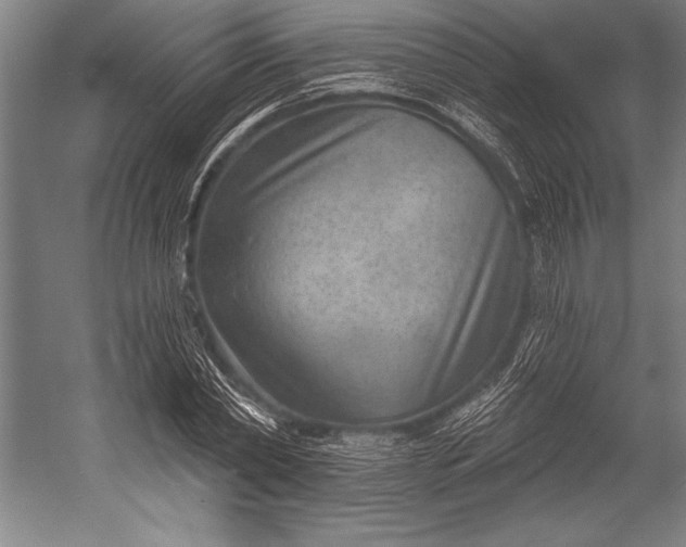 X0000053000782200507221246