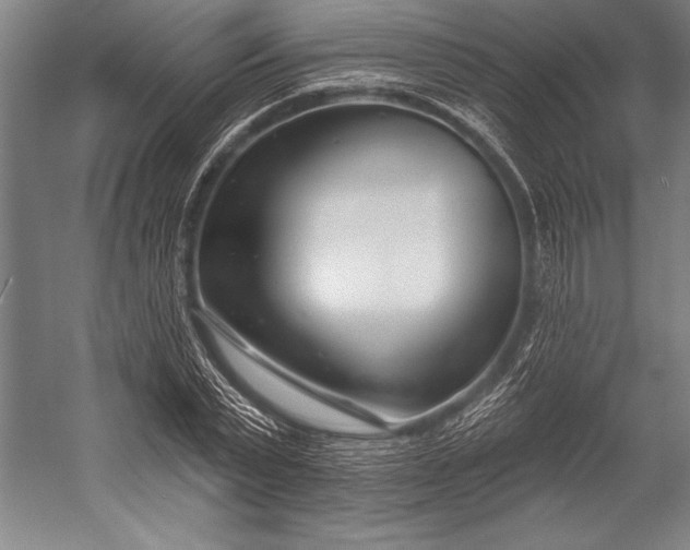 X0000053000783200507221246