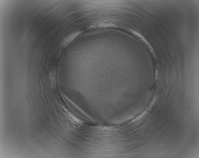 X0000053000785200507221246