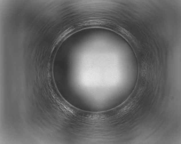 X0000053000786200507221246