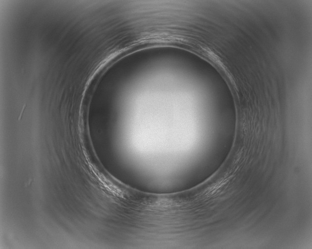 X0000053000787200507221246