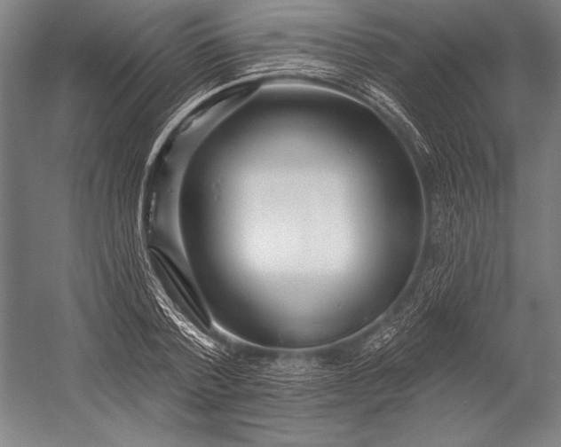 X0000053000788200507221246