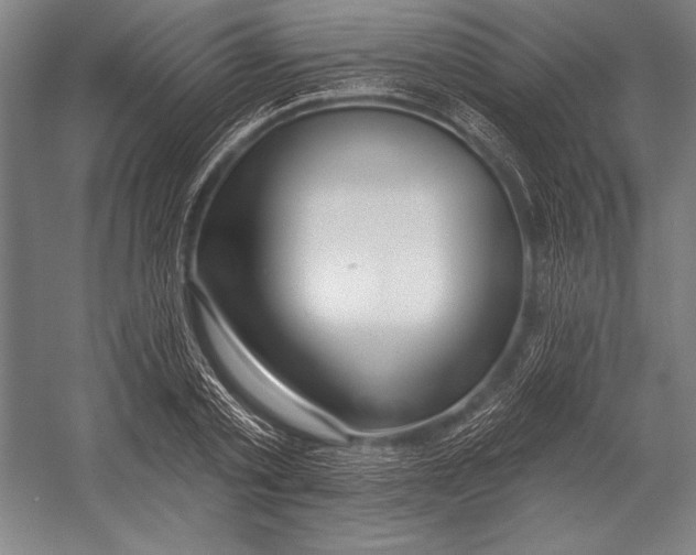 X0000053000789200507221246