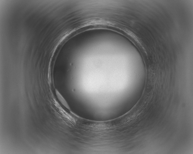 X0000053000791200507221246