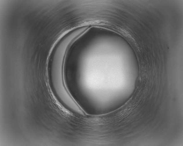 X0000053000792200507221246