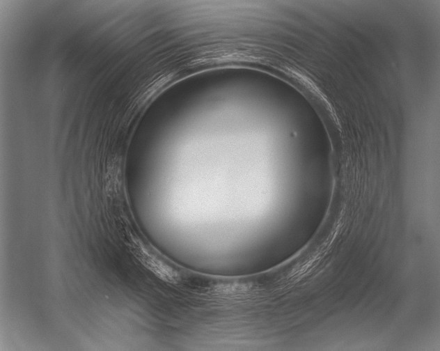 X0000053000793200507221246