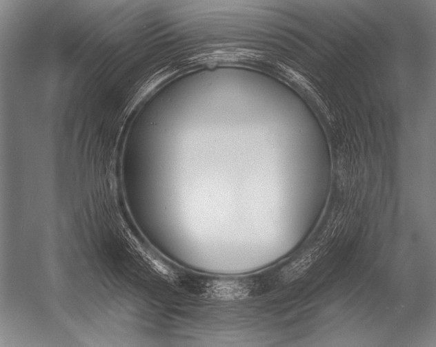 X0000053000794200507221246