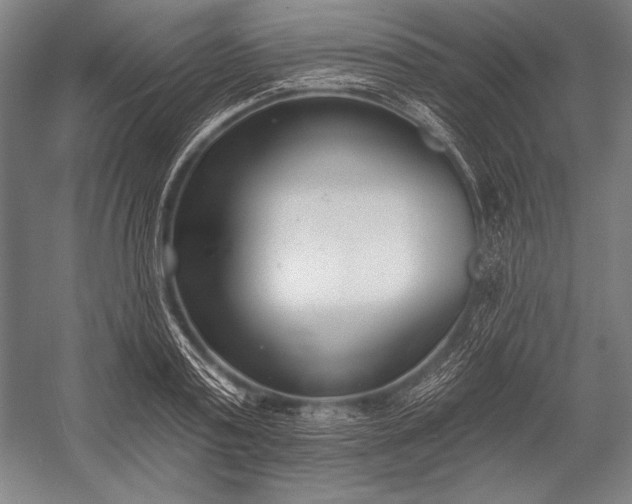 X0000053000795200507221246