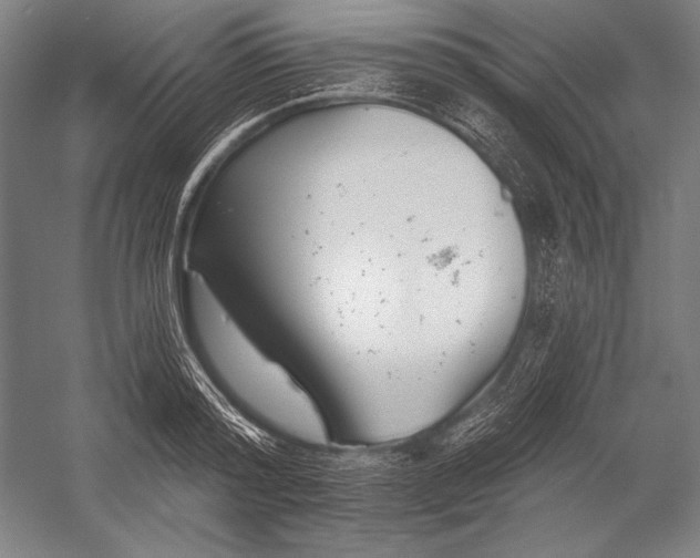 X0000053000796200507221246