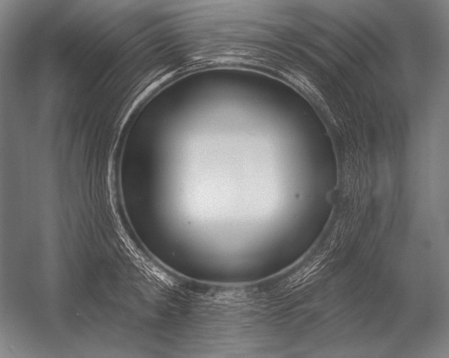 X0000053000798200507221245