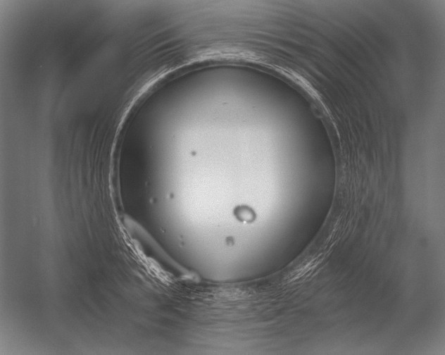 X0000053000799200507221245