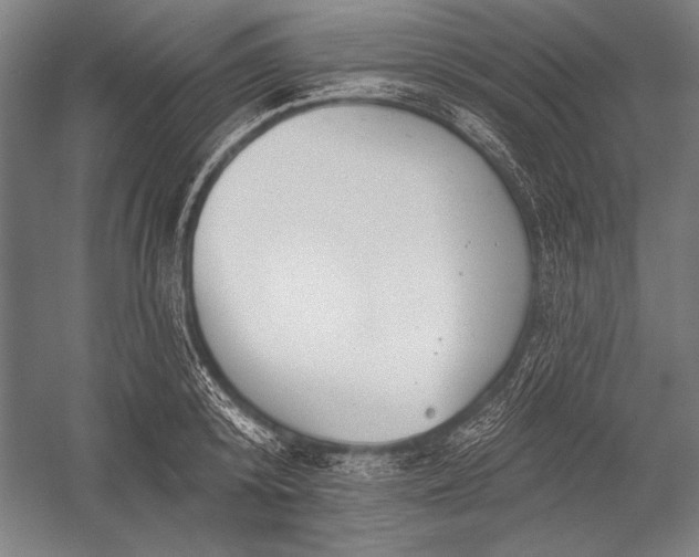 X0000053000800200507221245