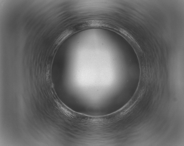 X0000053000801200507221245