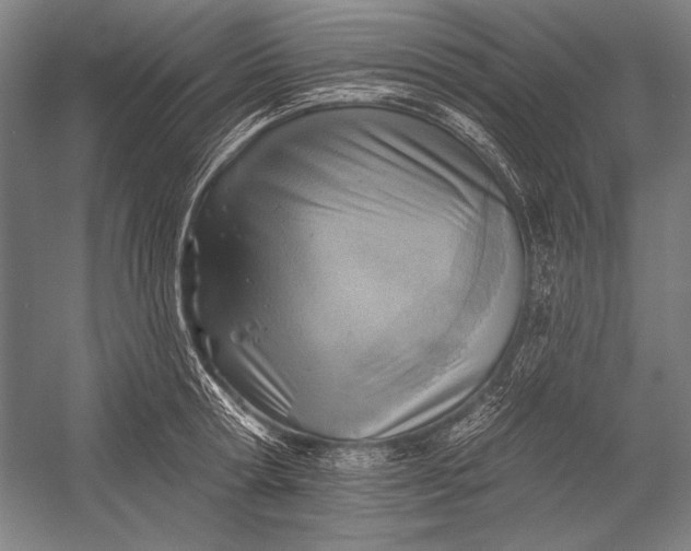 X0000053000802200507221245