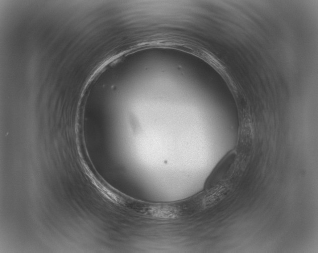 X0000053000803200507221245