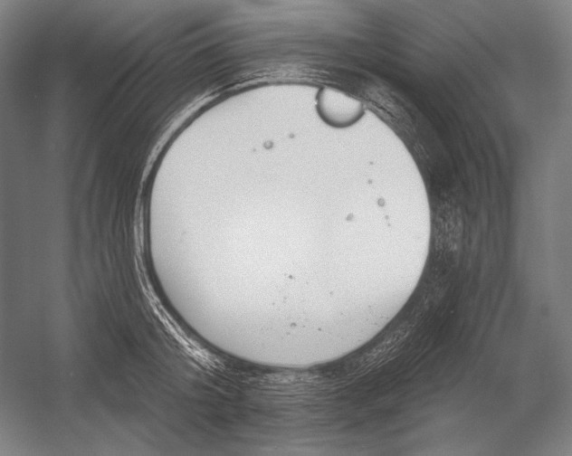 X0000053000804200507221245