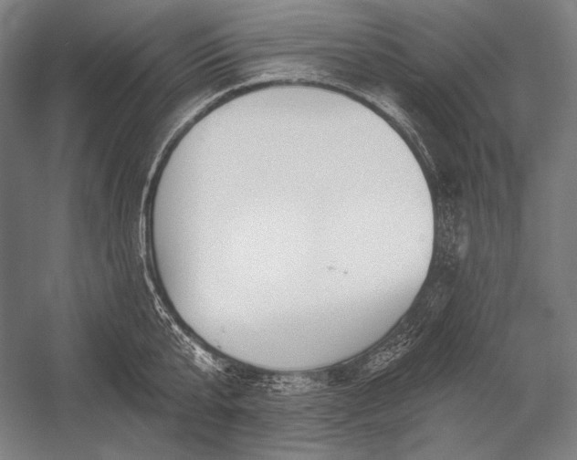 X0000053000807200507221245