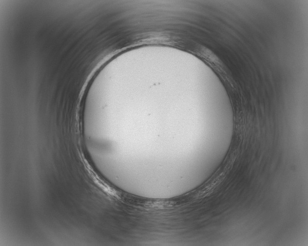 X0000053000808200507221245