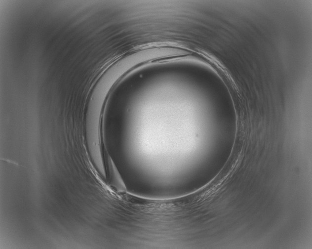 X0000053000809200507221245