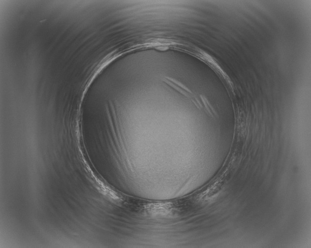 X0000053000810200507221245