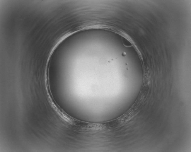 X0000053000811200507221245